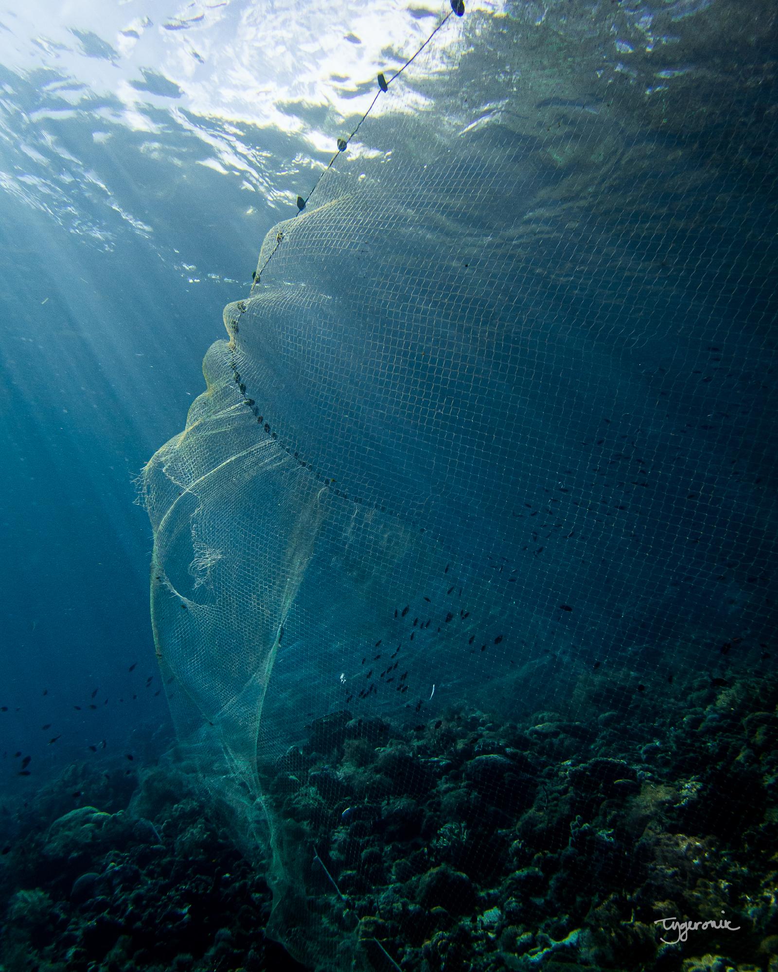 Indigenous Fishing Net