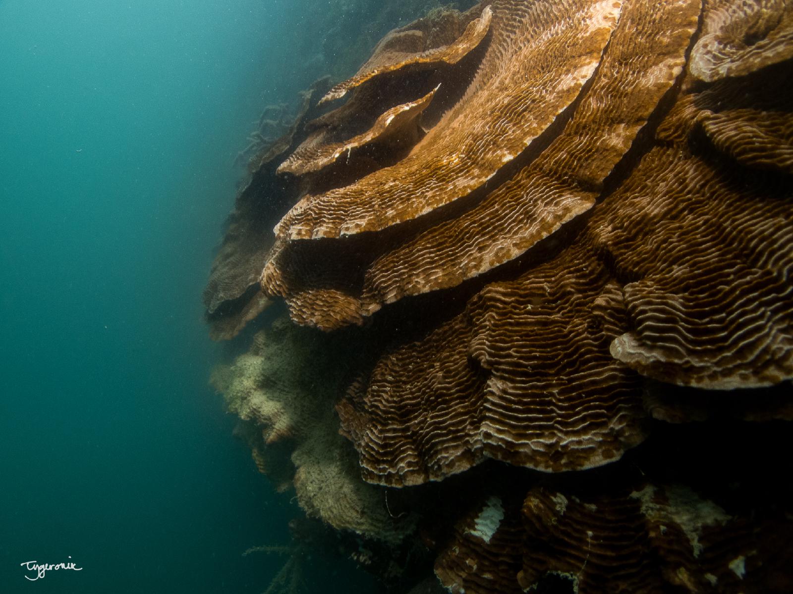 Keppel Marina