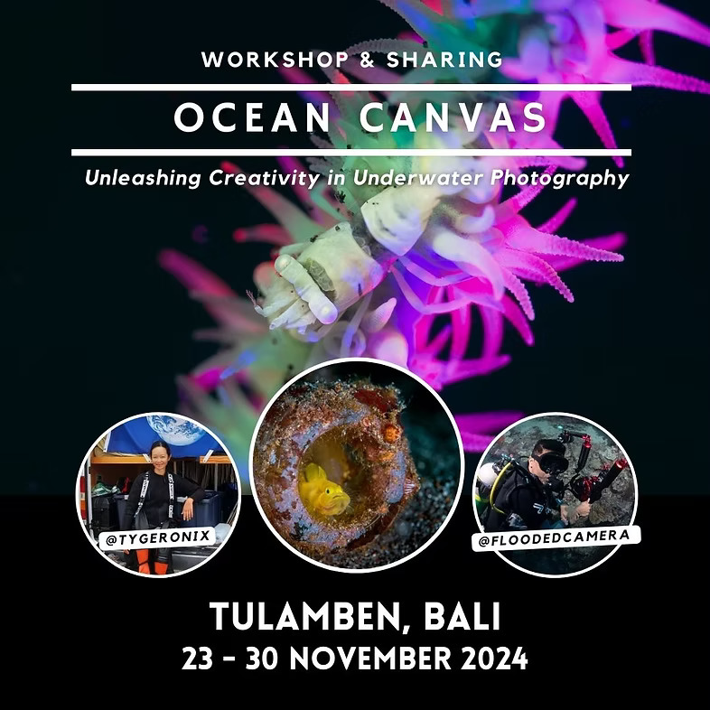 Ocean Canvas 2024 Flyer